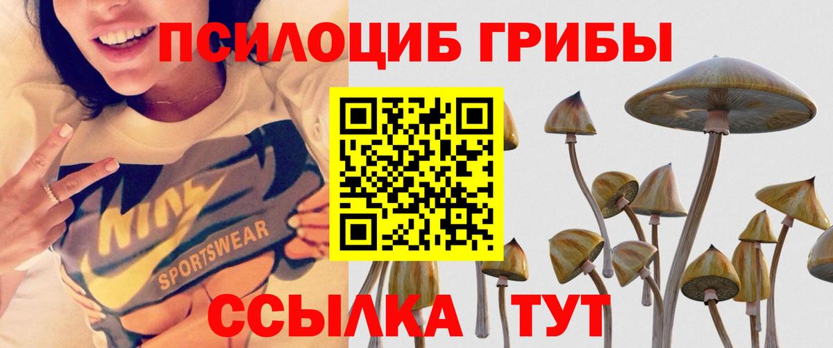 закладка  Вход с VPN  Псилоцибиновые грибы Psilocybine cubensis  Топки  Галлюциногенные грибы ЛСД 